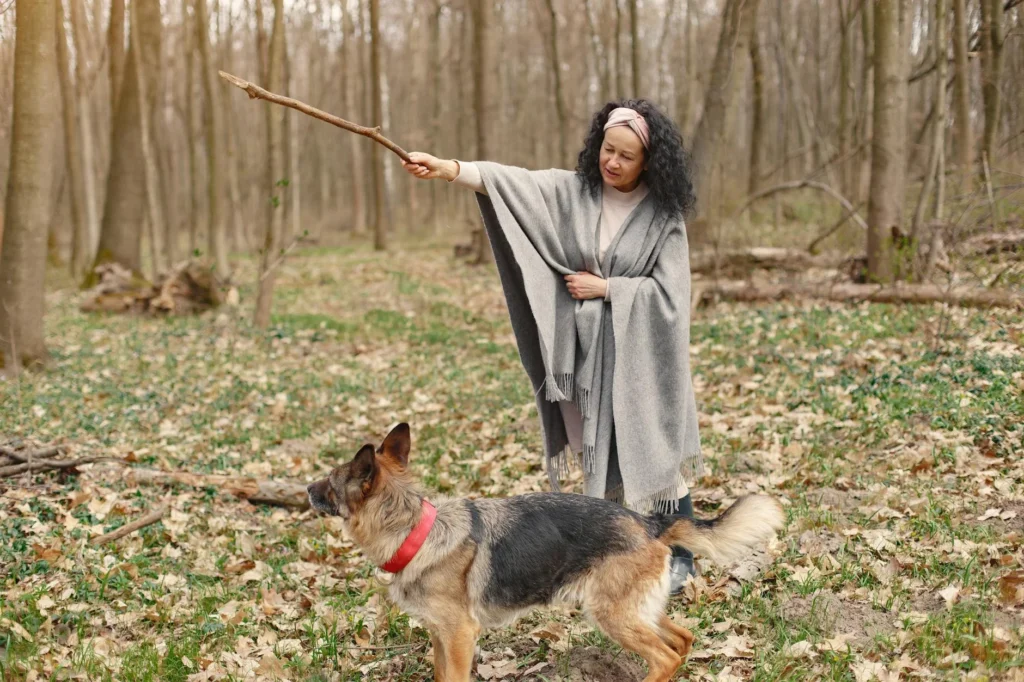 The Real Cost of Dog Training & Boarding: What to Budget For