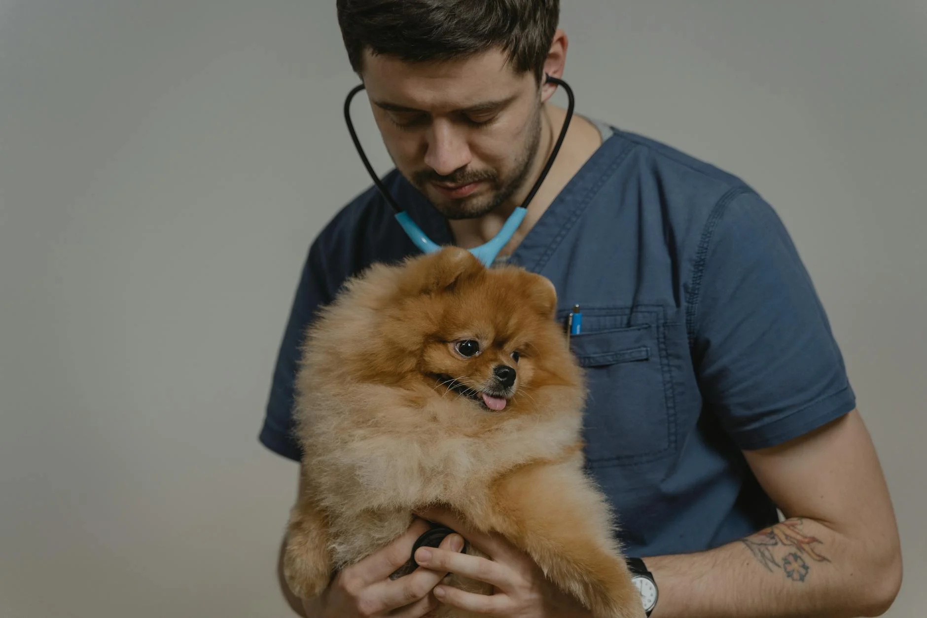 Understanding the Real Cost of Veterinary Surgery in 2026