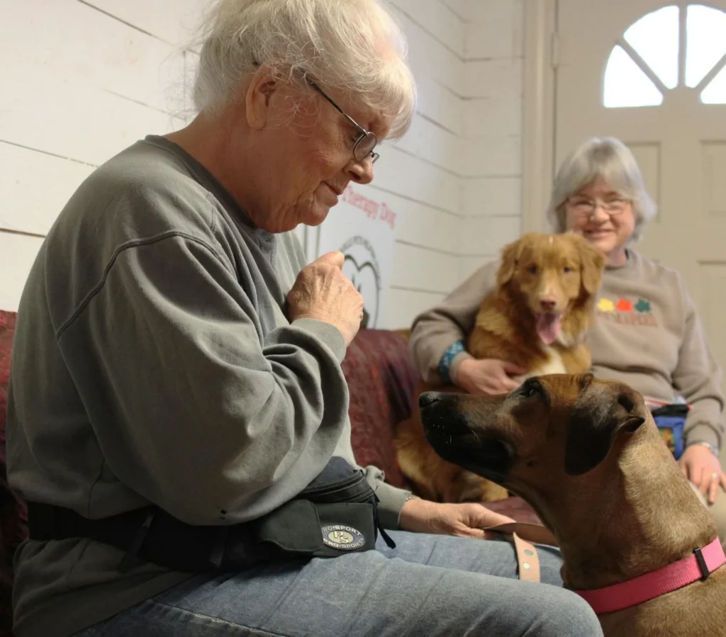 Happy Paws, Happy Home: Your Guide to Dog Training & Boarding