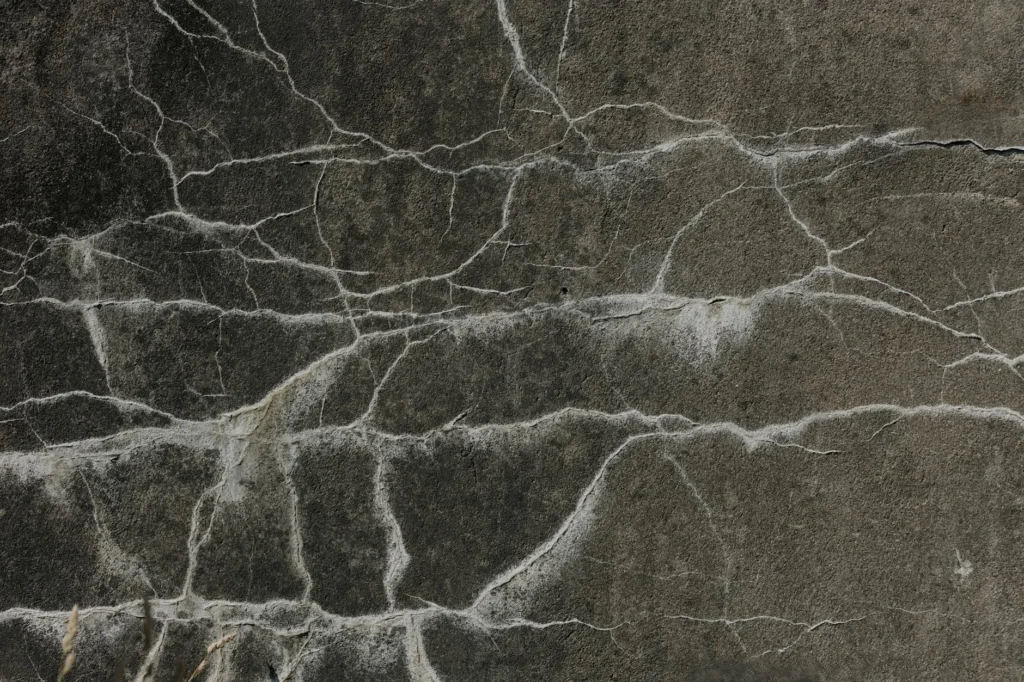 The Real Cost of Foundation Repair: What to Expect Today