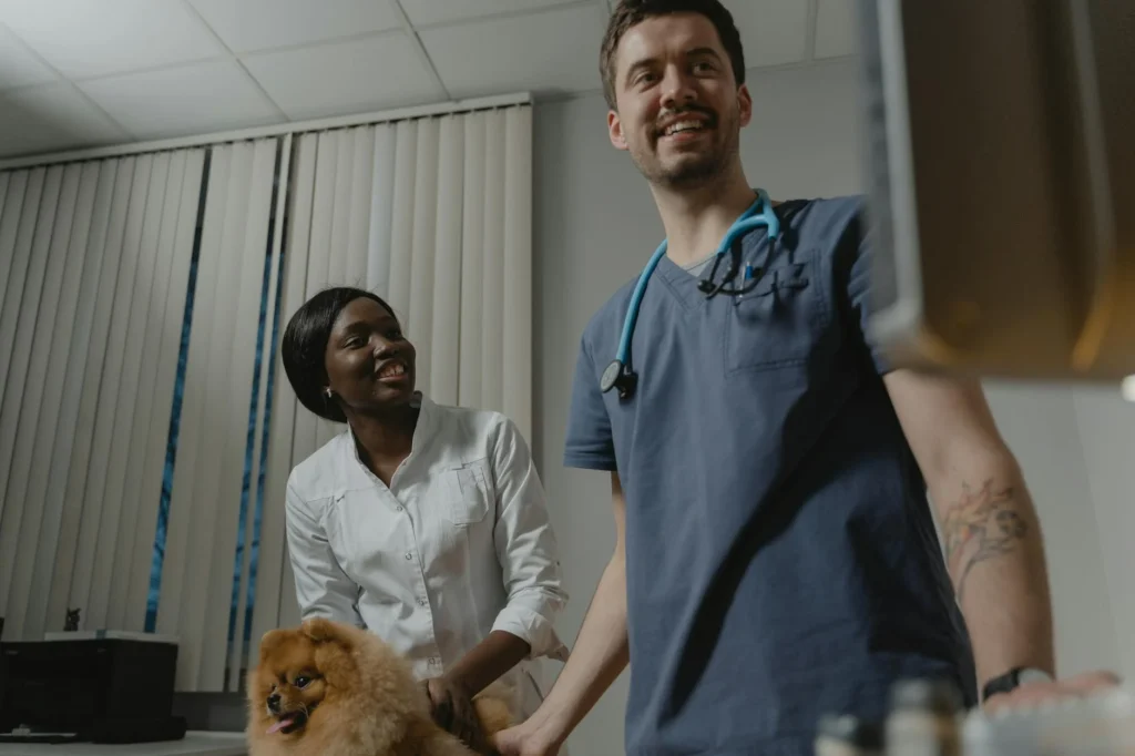 The Real Cost of Veterinary Surgery: Current Prices Today