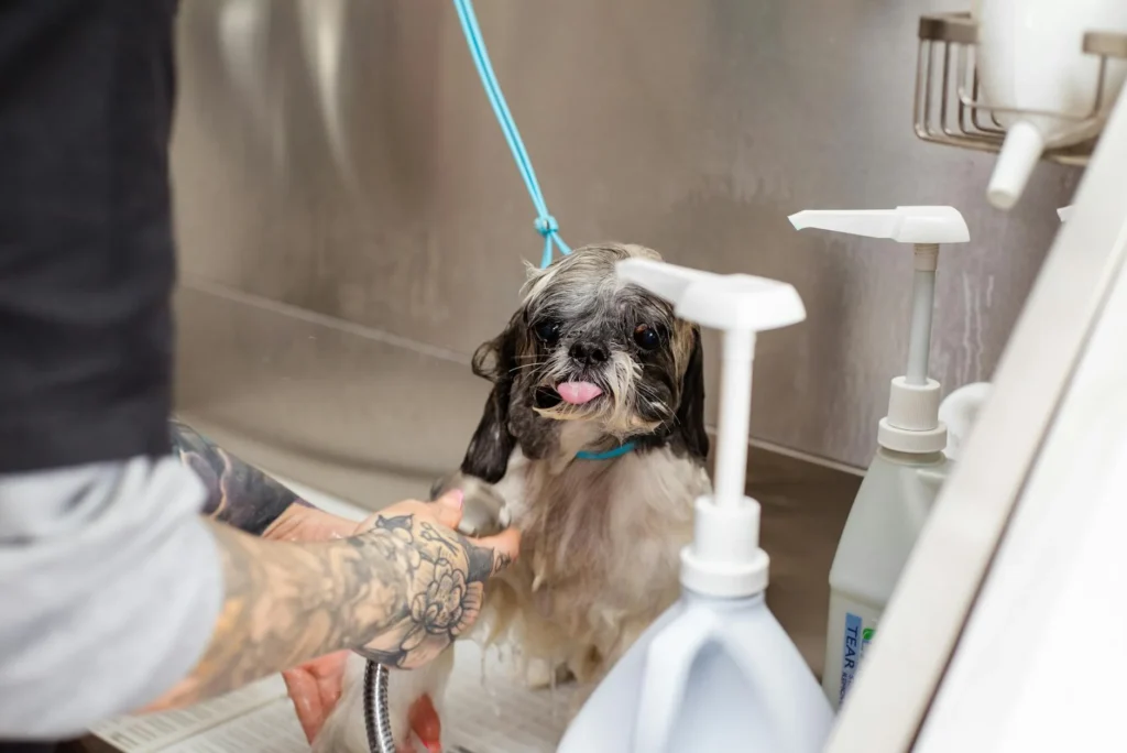 Walk-in Tub Installation: Your 2026 Guide to Rates & Trends