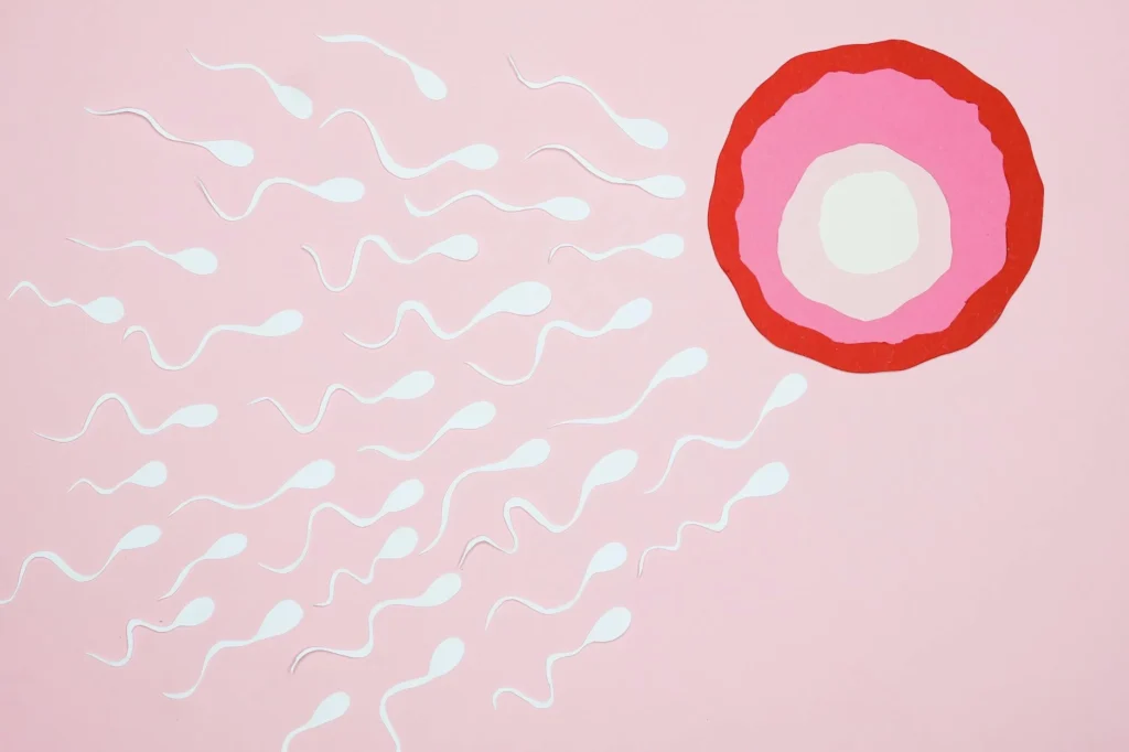 The Real Cost of IVF & Fertility Treatments in 2026
