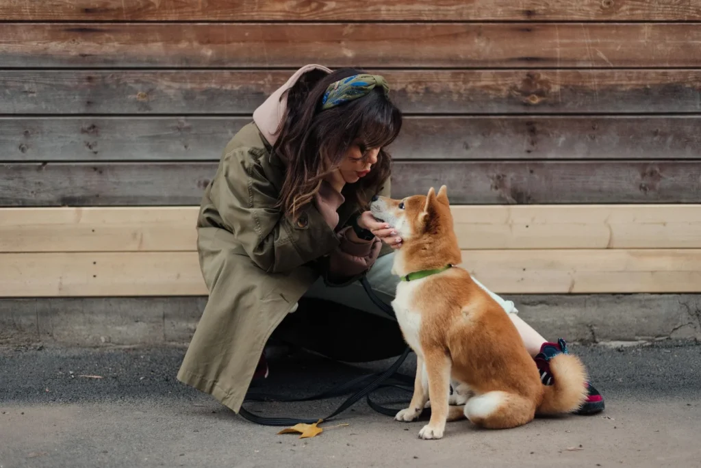 Dog Training & Boarding: Current Rates & Top Tips