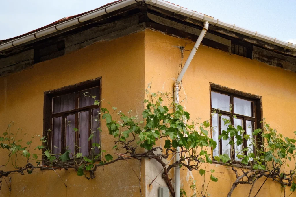 The Ultimate Guide to Gutter Guard Installation: A Cost-Effective Smart Home Upgrade