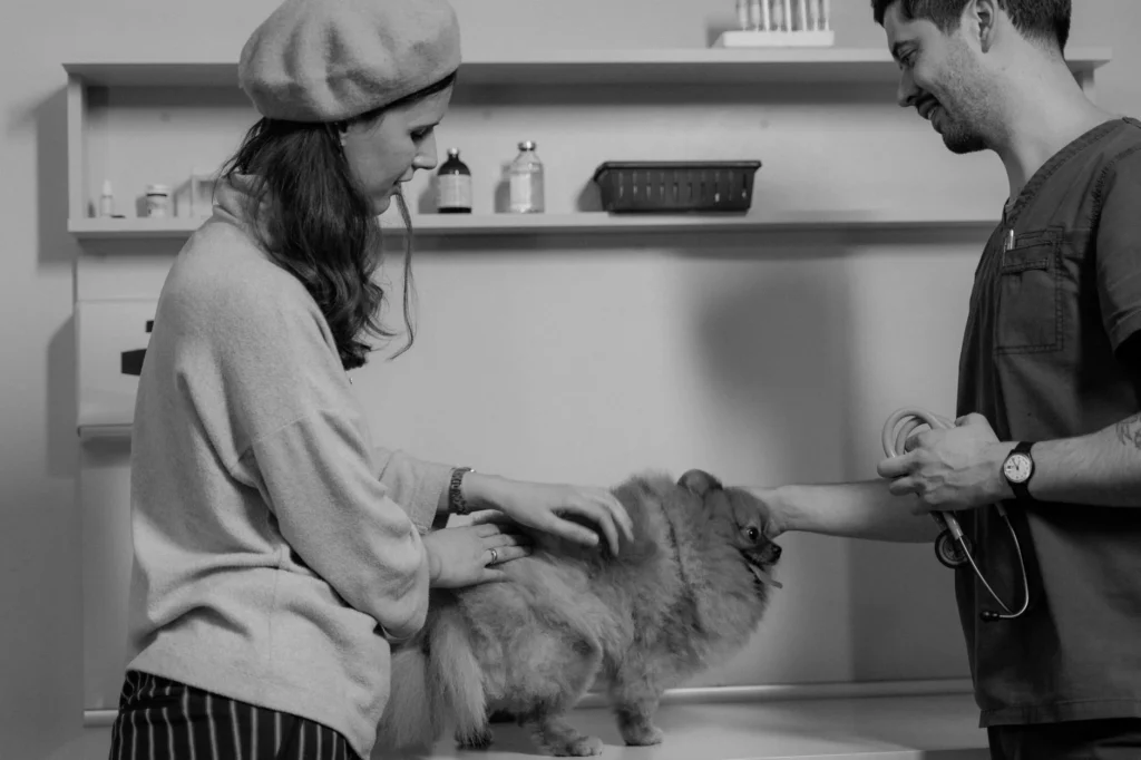 Veterinary Surgery Costs: Understanding the Real Price