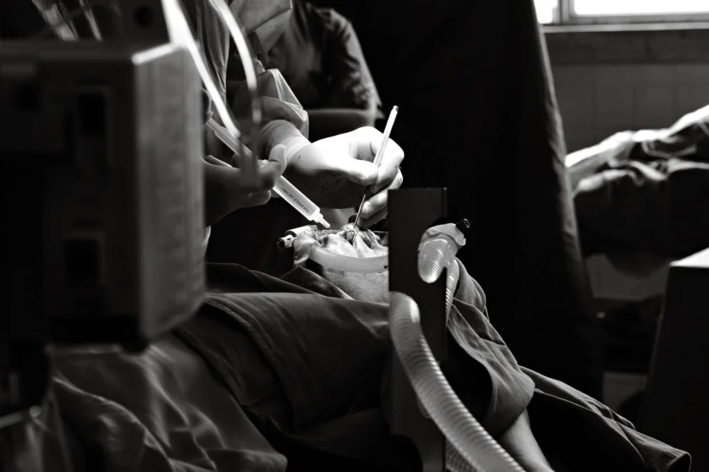 Veterinary Surgery: Real Cost and What to Expect for Your Pet