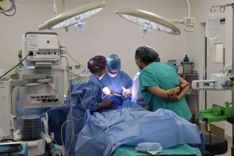 Veterinary Surgery: Real Cost and What to Expect for Your Pet