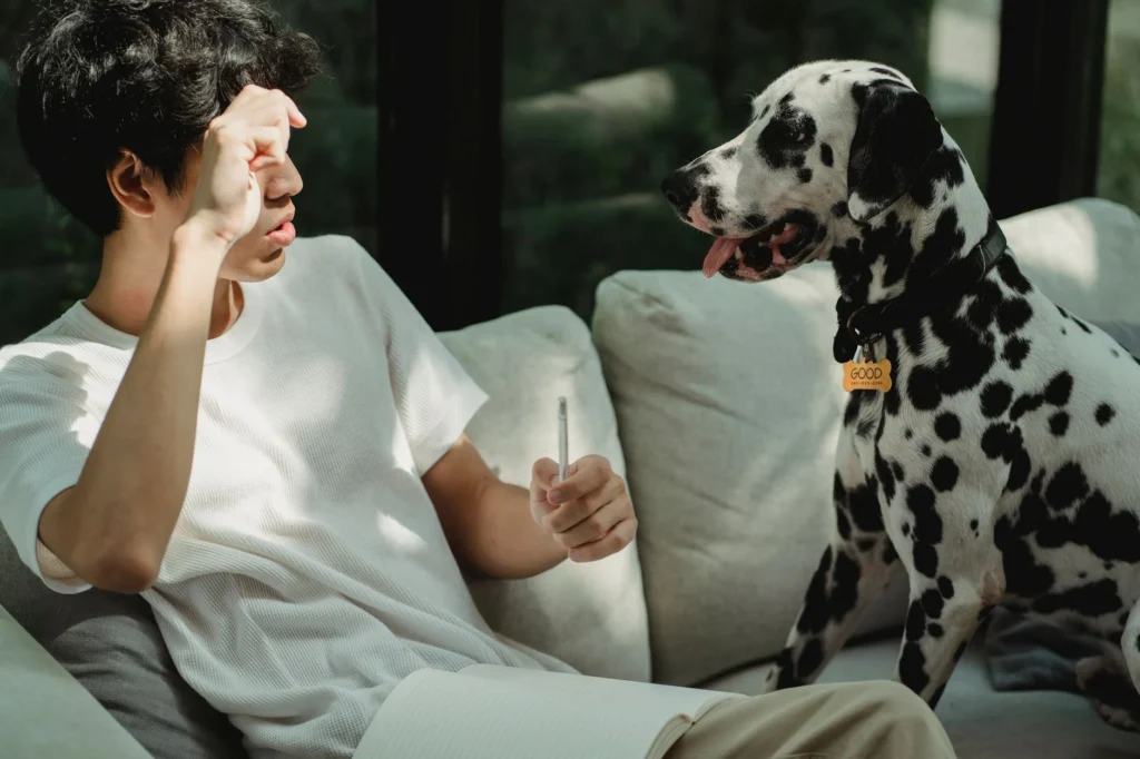 The Real Cost of Dog Training & Boarding