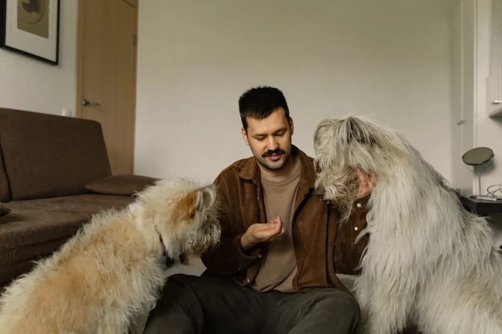 The Real Cost of Dog Training & Boarding
